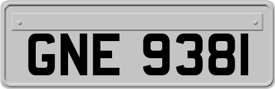 GNE9381