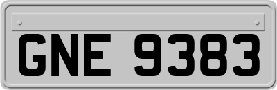 GNE9383