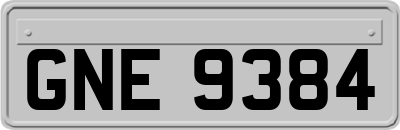 GNE9384