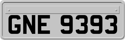 GNE9393