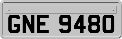 GNE9480