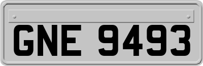 GNE9493
