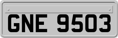 GNE9503