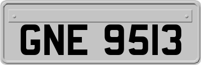 GNE9513