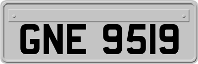 GNE9519