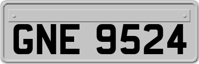 GNE9524