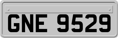 GNE9529