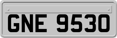 GNE9530