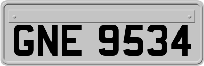 GNE9534