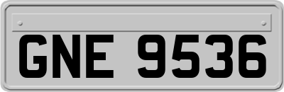 GNE9536