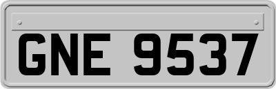 GNE9537