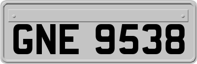 GNE9538