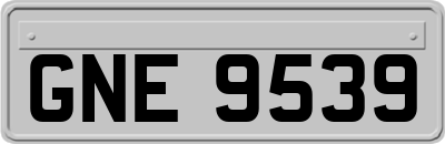 GNE9539