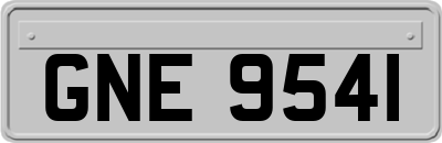 GNE9541