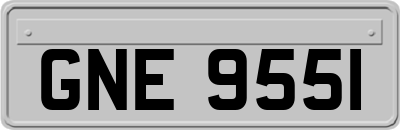 GNE9551