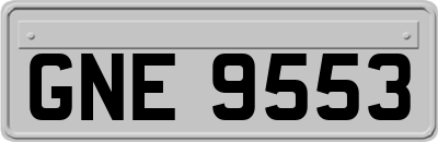 GNE9553