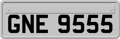 GNE9555