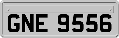 GNE9556