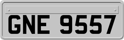 GNE9557