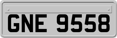 GNE9558