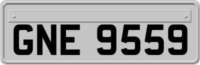 GNE9559