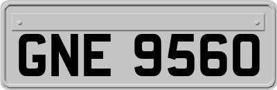 GNE9560