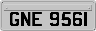 GNE9561