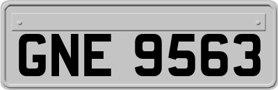 GNE9563