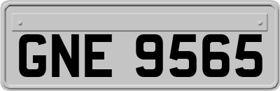 GNE9565