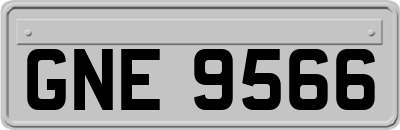 GNE9566