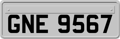 GNE9567