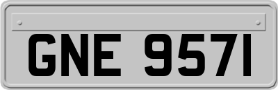 GNE9571