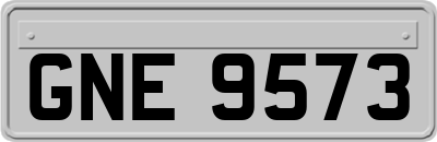 GNE9573