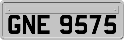 GNE9575