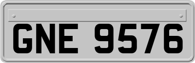 GNE9576