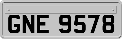 GNE9578