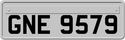 GNE9579