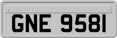GNE9581