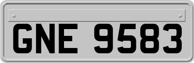 GNE9583