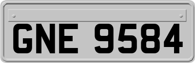 GNE9584