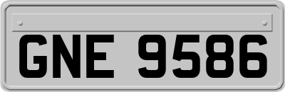 GNE9586