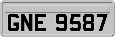 GNE9587