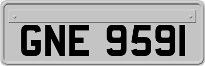 GNE9591
