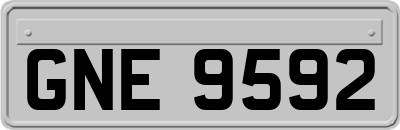 GNE9592