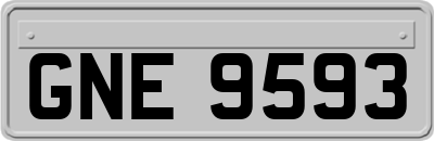 GNE9593