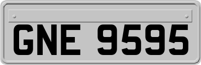 GNE9595