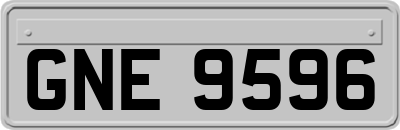 GNE9596