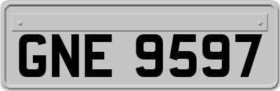 GNE9597