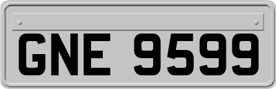 GNE9599