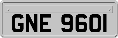 GNE9601